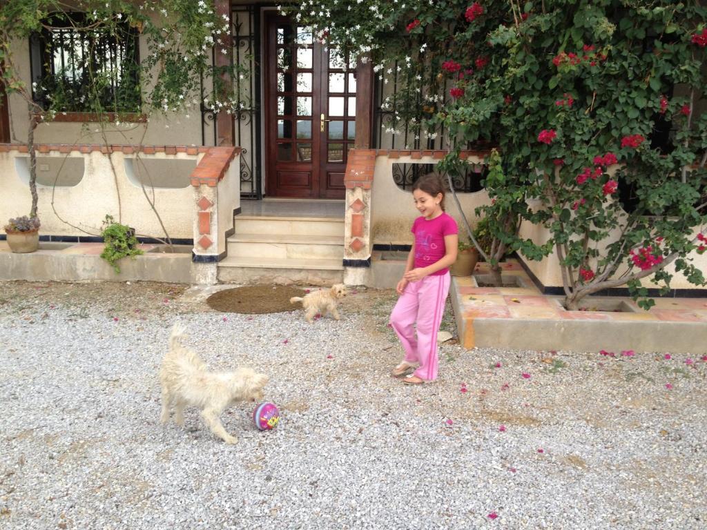 Bed and Breakfast Dar Salima Mornag Exteriér fotografie